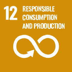 12 Responsible Consumption and Production