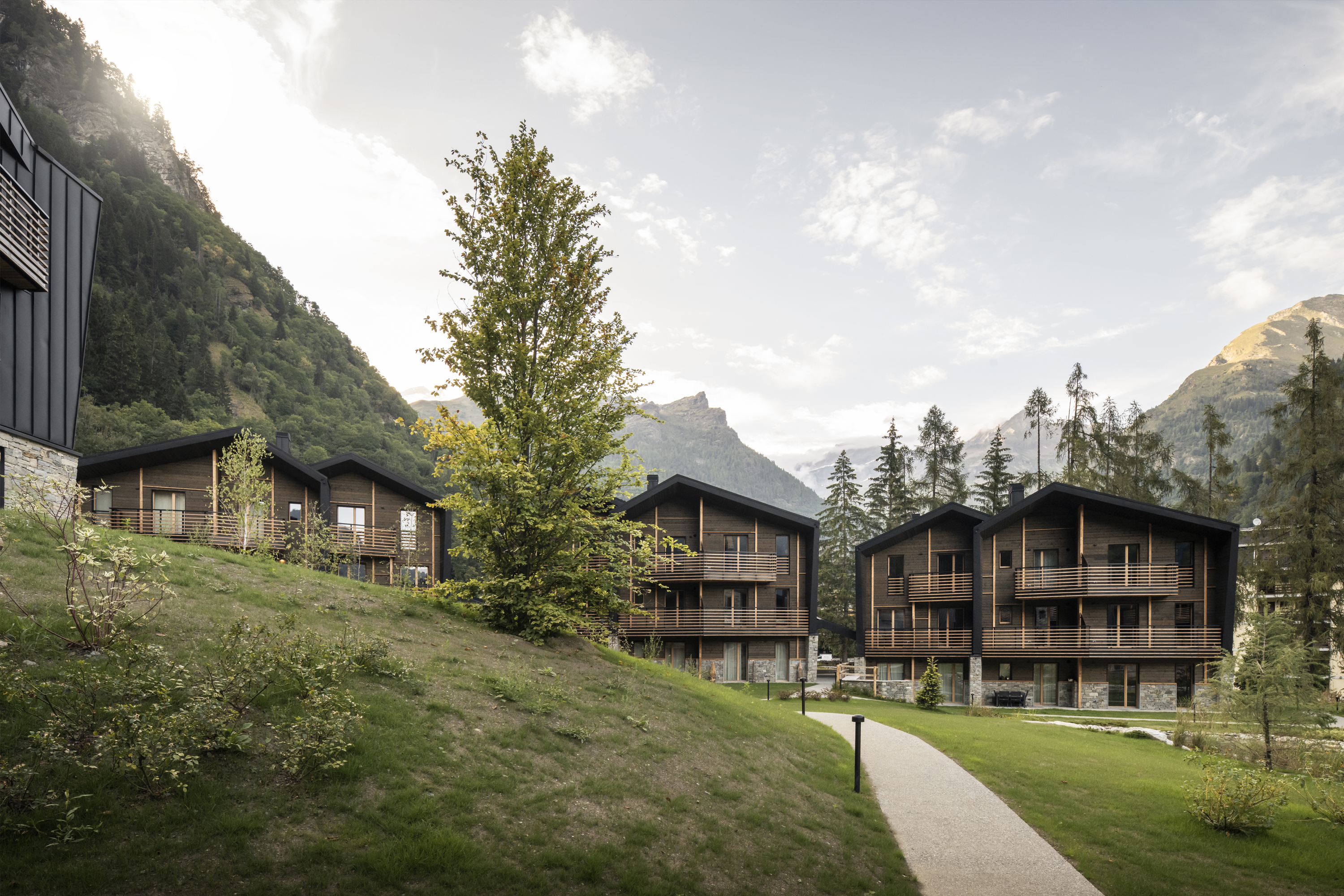 PROFESSIONAL_HP_Cascata_Otro_01