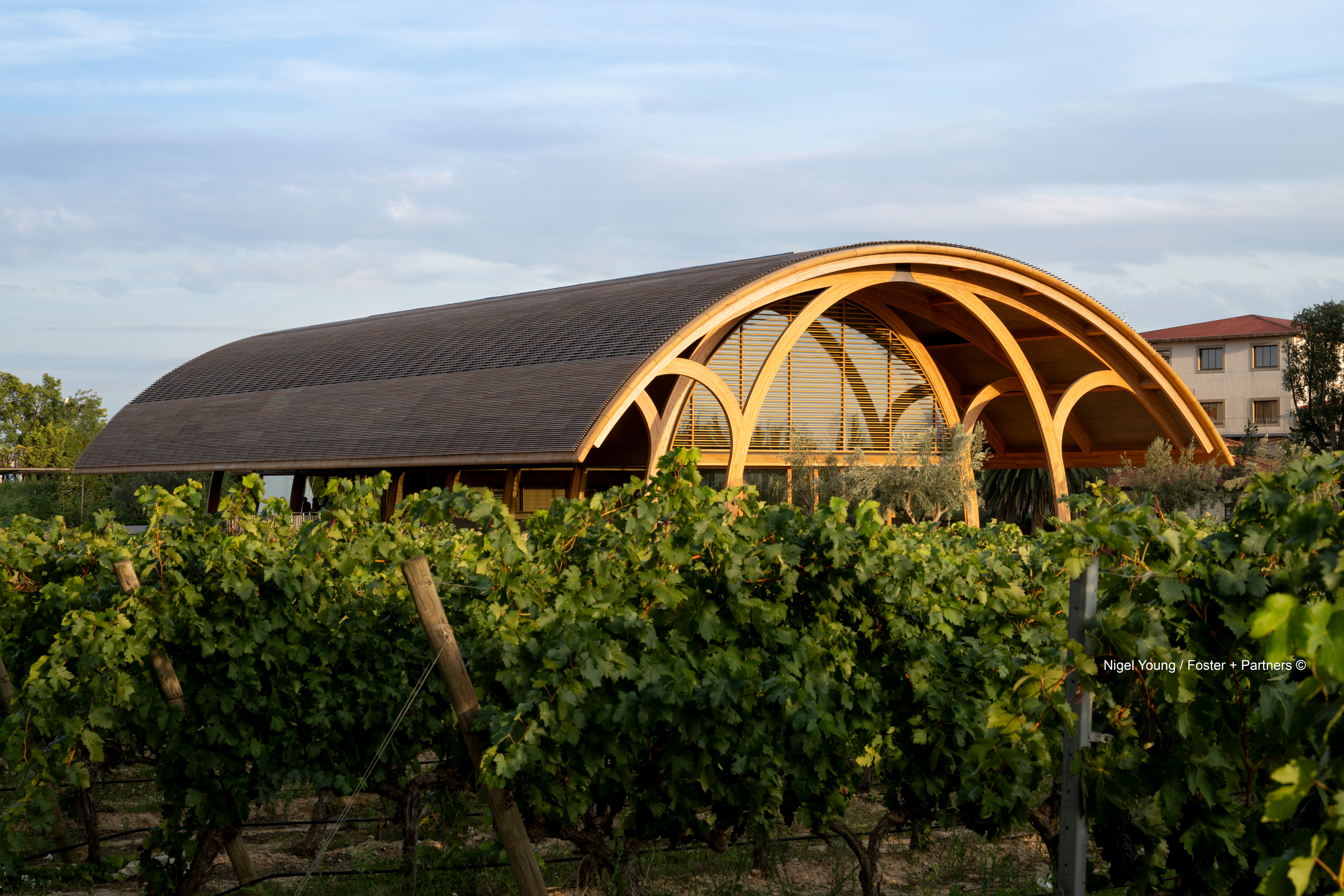 Projects-Flos-Bodegas_Faustino-Spain-01