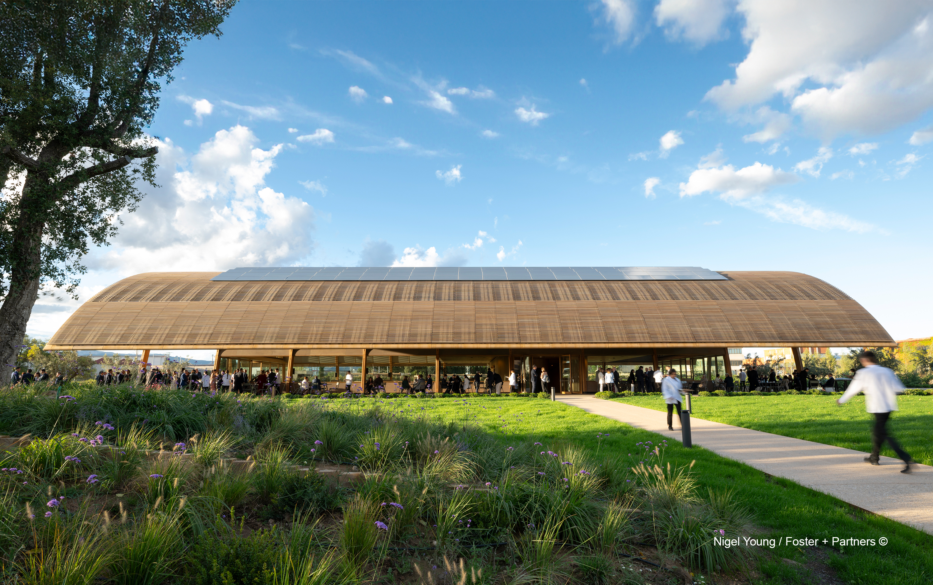 Projects-Flos-Bodegas_Faustino-Spain-04_4