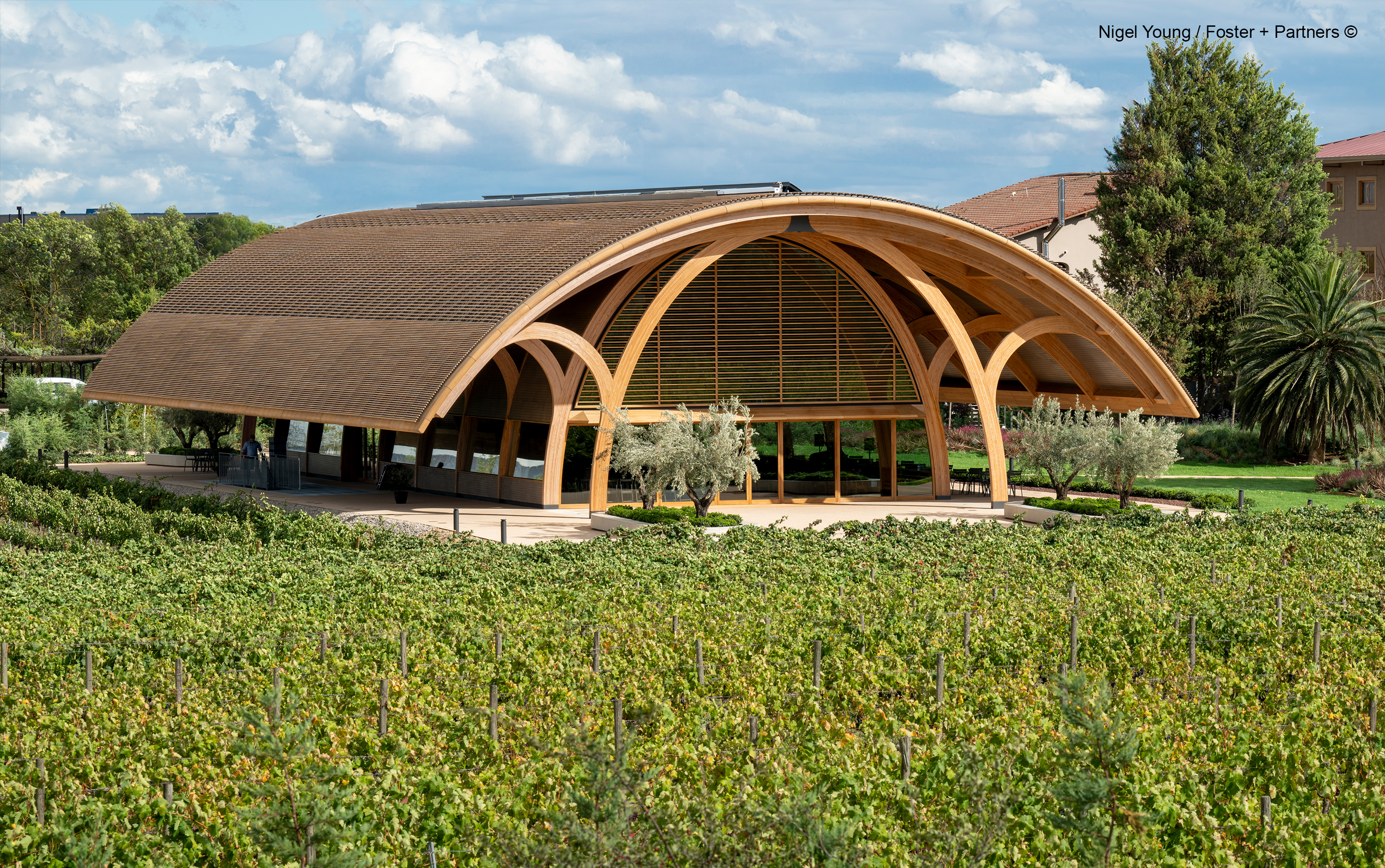 Projects-Flos-Bodegas_Faustino-Spain-04_5