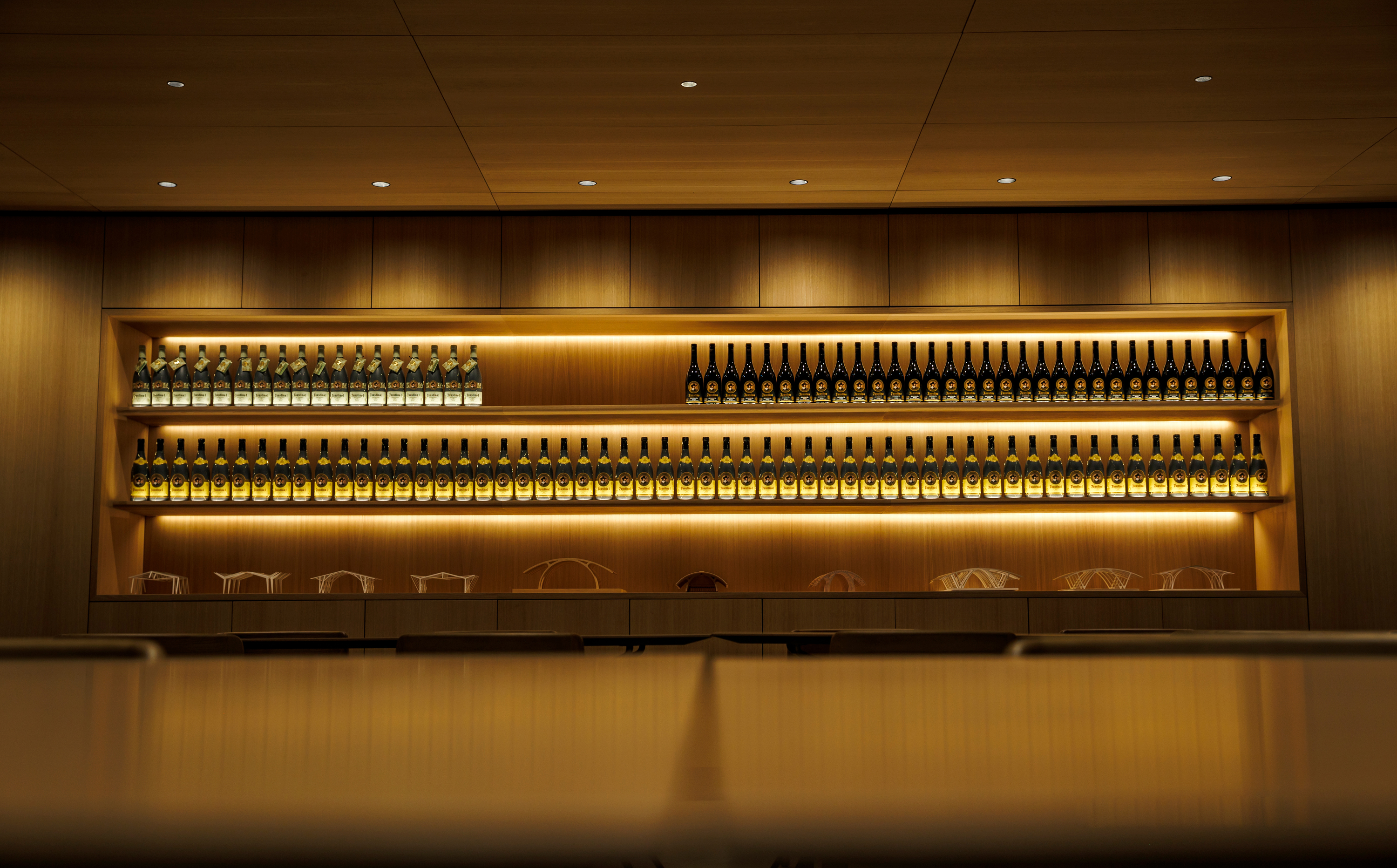 Projects-Flos-Bodegas_Faustino-Spain-08B