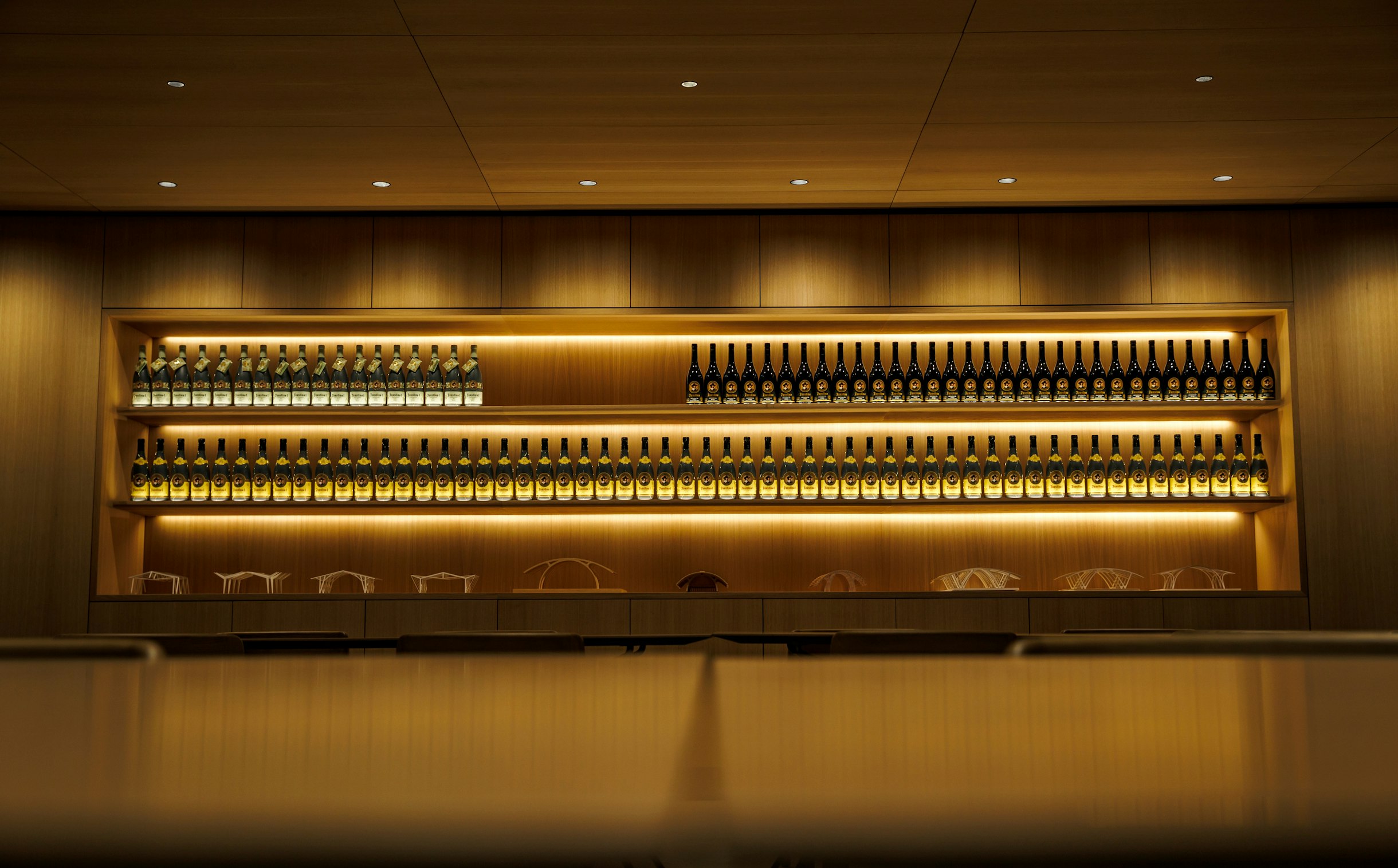 Projects-Flos-Bodegas_Faustino-Spain-08B