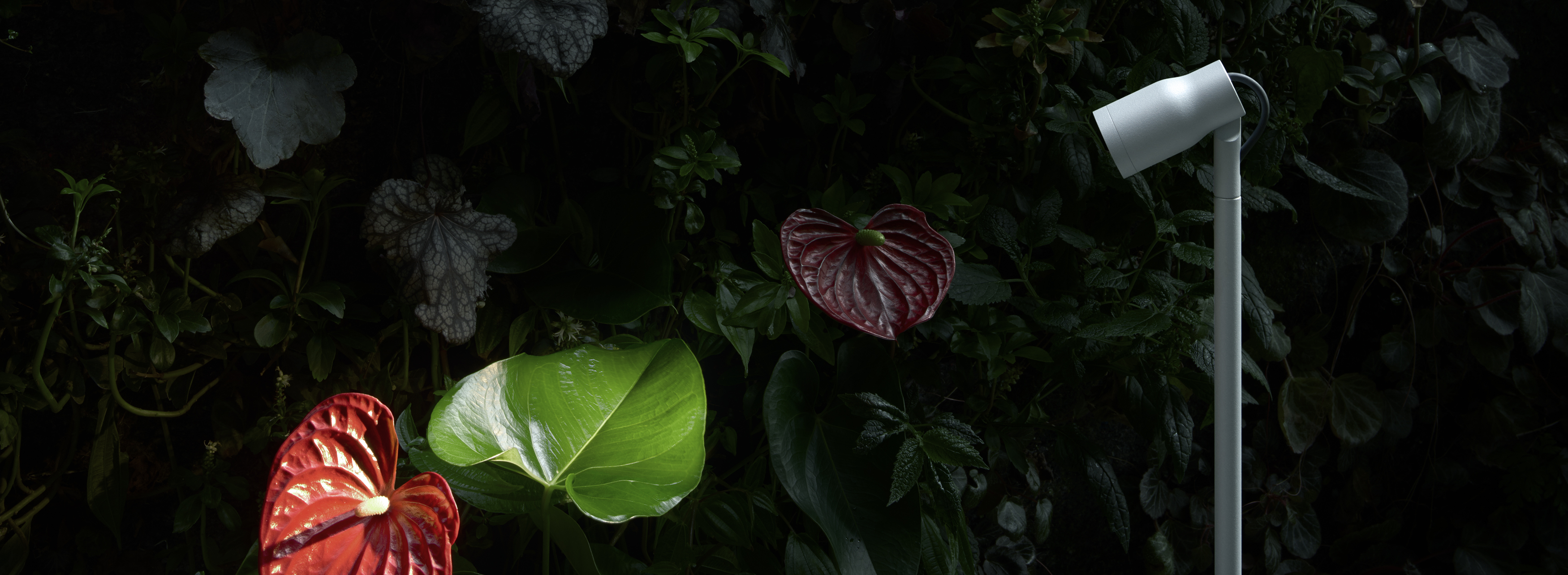 Landlord Lamps and lighting fixtures Flos