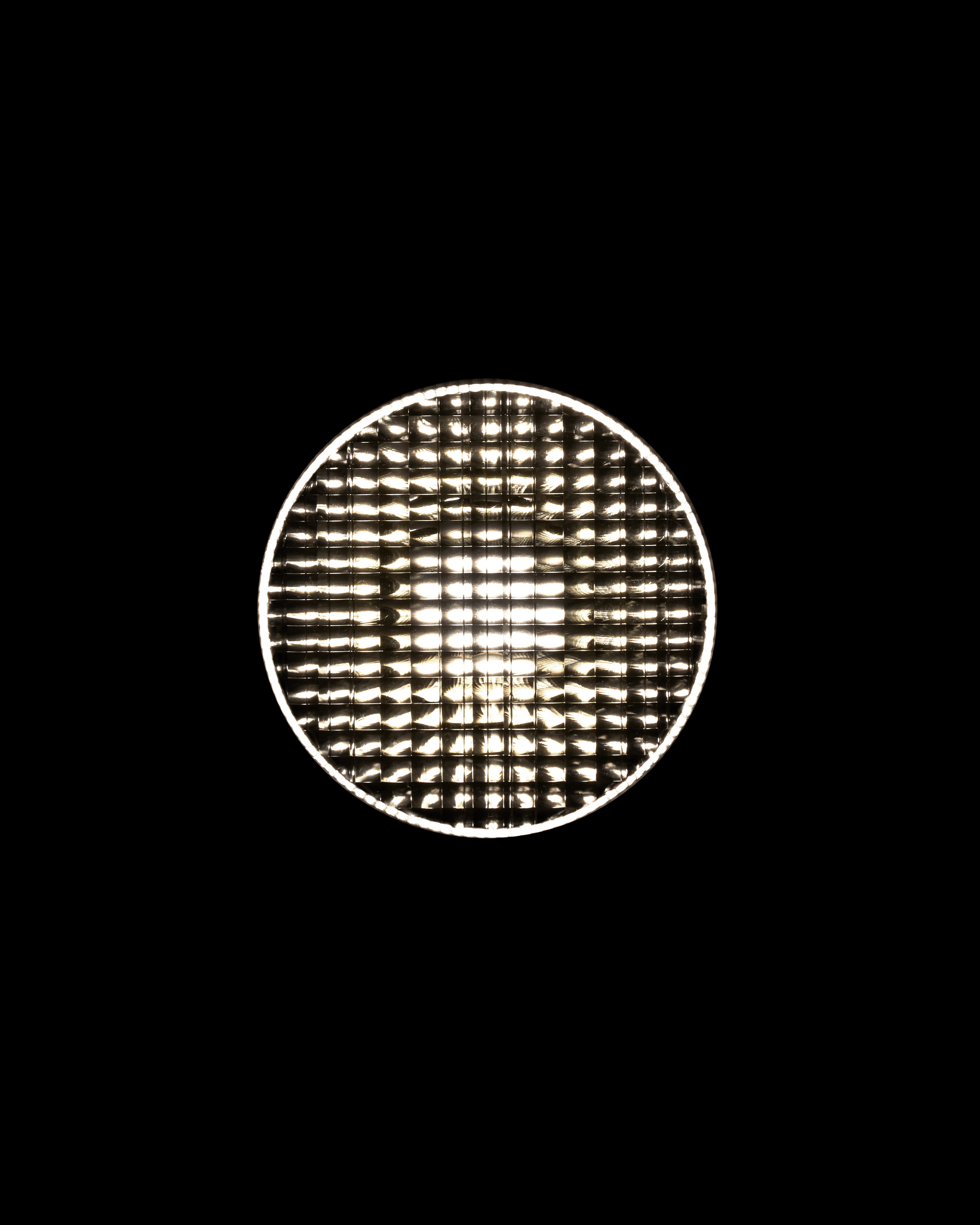 stories-Spine-flos-12