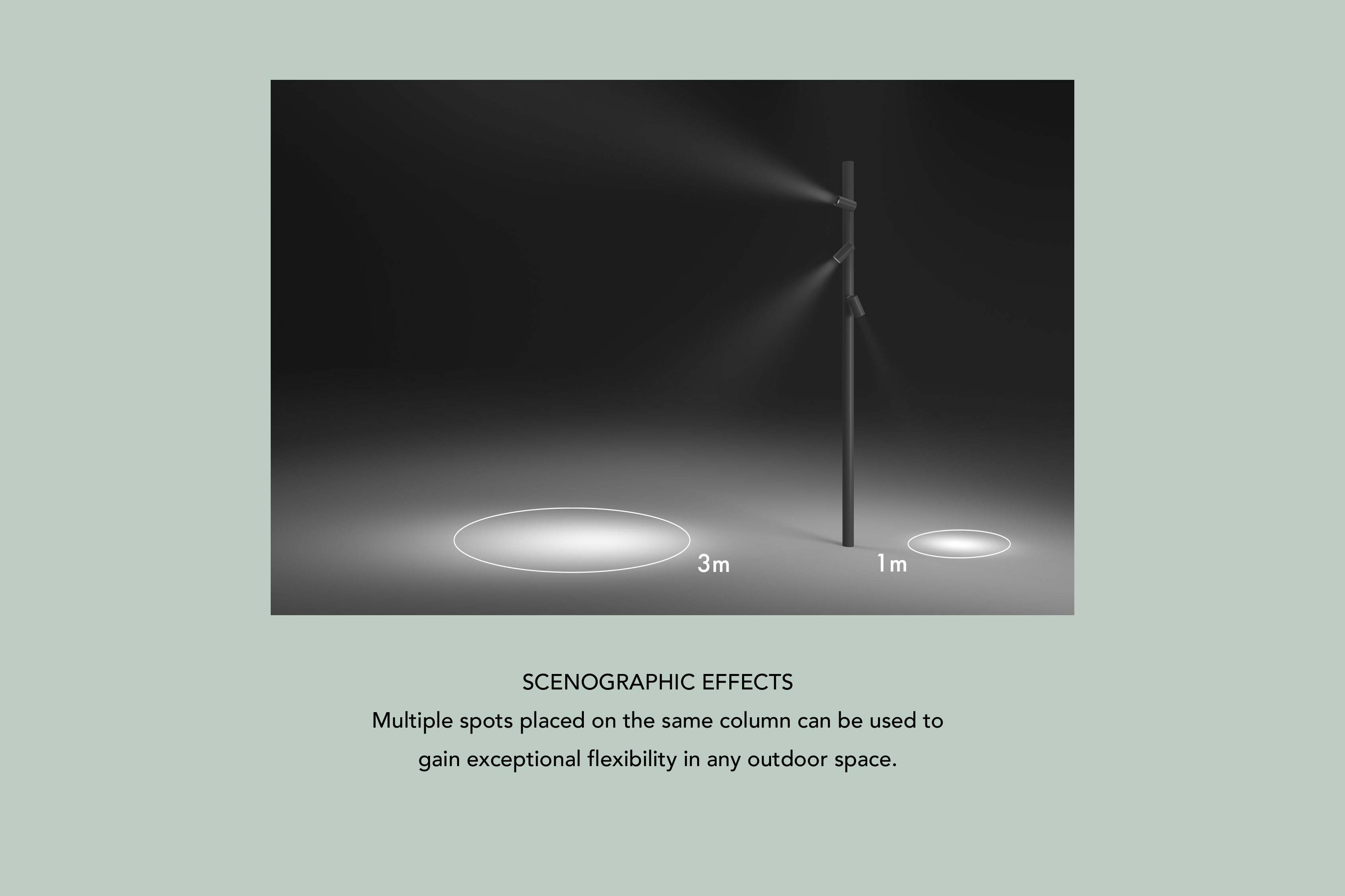 stories-Spine-flos-16-05