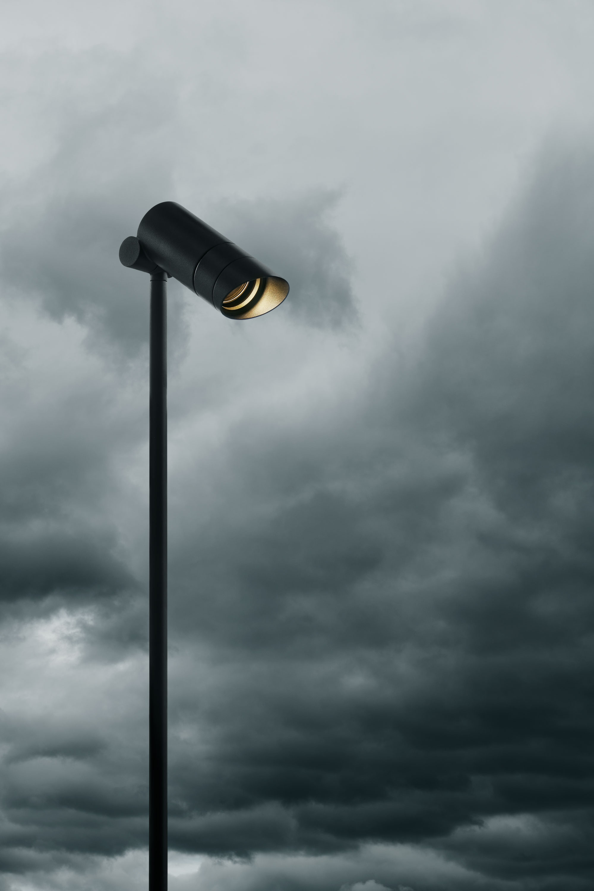 stories-Spine-flos-21