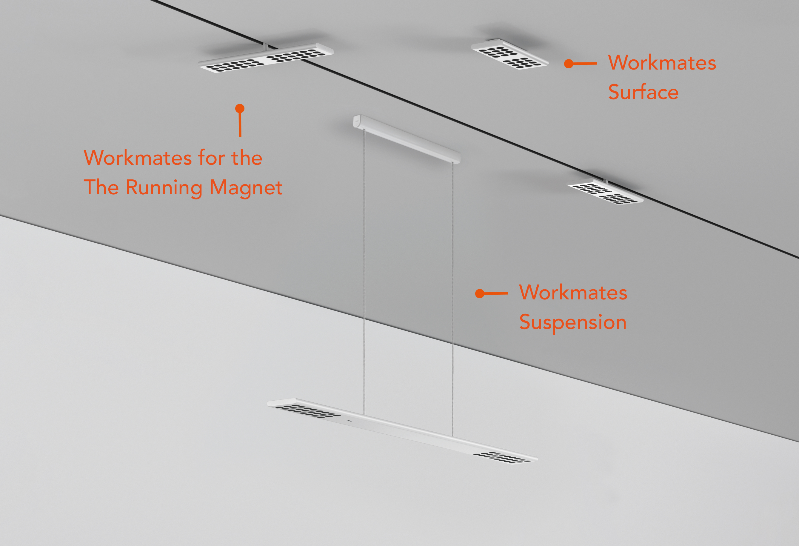 stories-Workmates-flos-02_USA_03