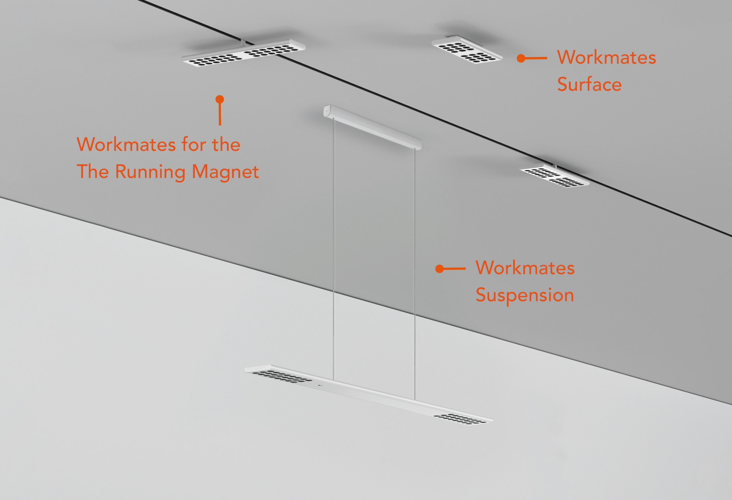 stories-Workmates-flos-02_USA_03