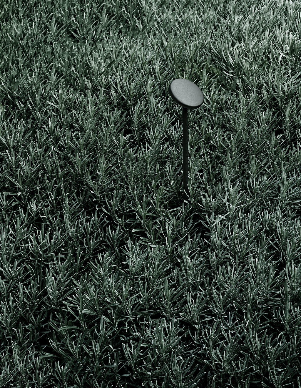 stories-landlord-flos-outdoor-07